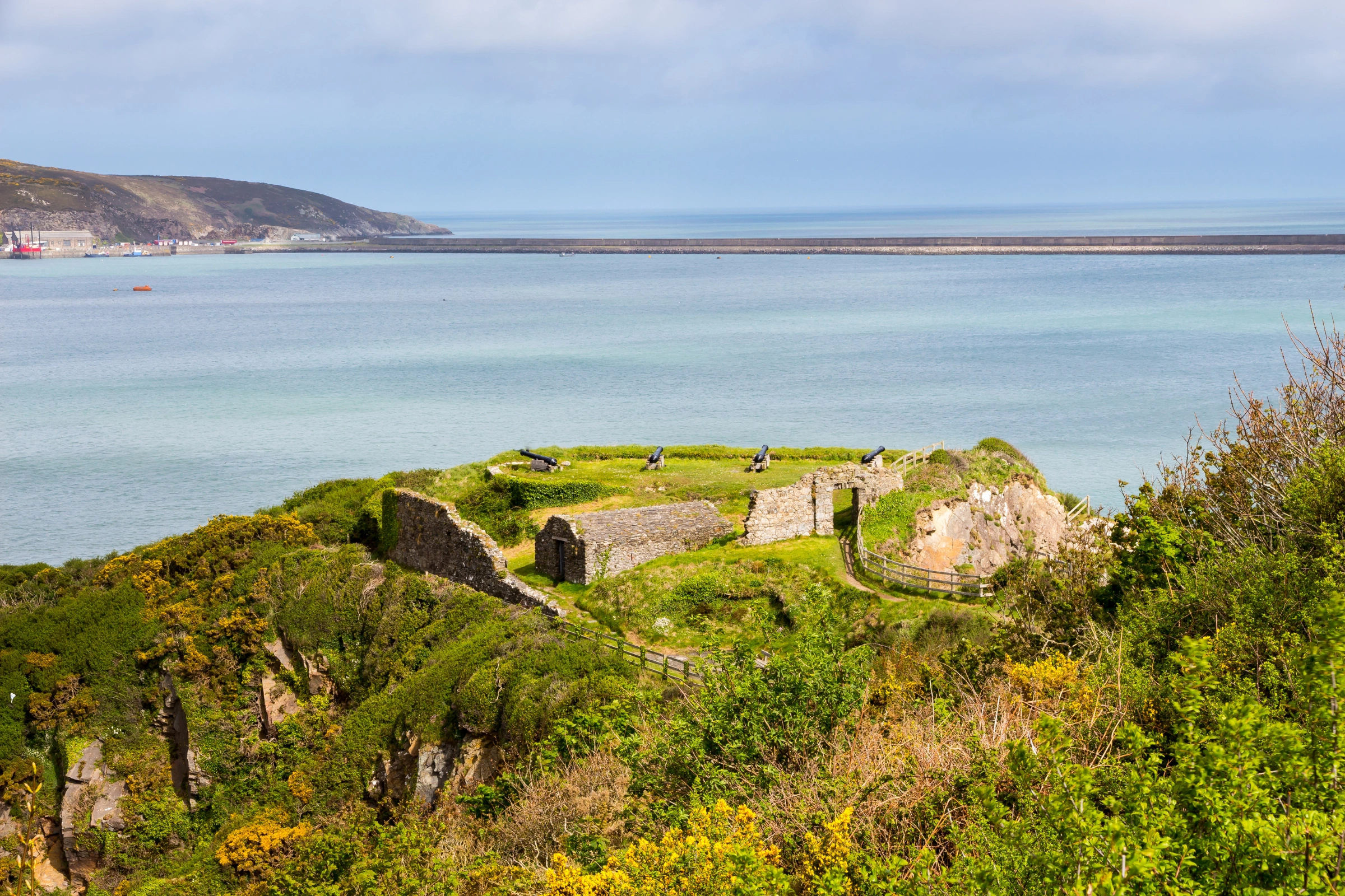 Fishguard[1].webp